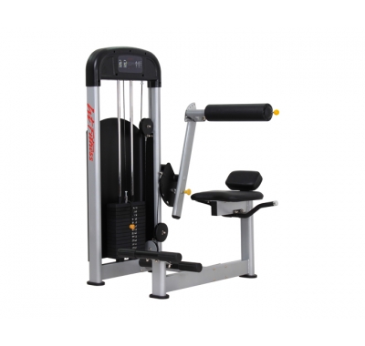 F-A10 背肌训练器